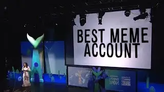The Best Meme Account is finally announced