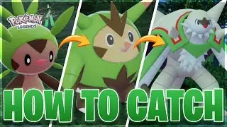 Как поймать Чеспина и эволюционировать его в Квилладина и Чеснота в Pokemon Legends Z-A!