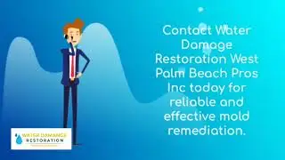 Mold Remediation Removal Service In West Palm Beach Florida #moldremediation  #moldremoval