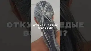 Откуда Седые Волосы / Валерия Лукьянова