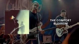 The Comfort - Blossom (Official Live Music Video)
