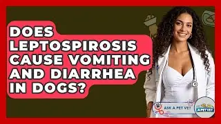 Does Leptospirosis Cause Vomiting And Diarrhea In Dogs? - Ask A Pet Vet