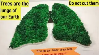 Save trees model | Do not cut trees| Trees are the lungs of our Earth| Earth & Environment day model