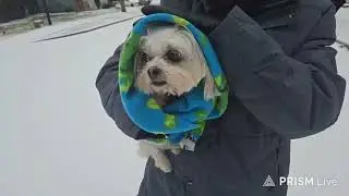 Winter Storm 2026 Charlotte NC