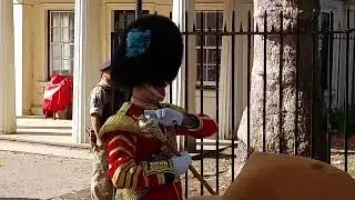 Band of the Scots Guards leave Wellington Barracks|Changing of the Guard|15/09/2024.