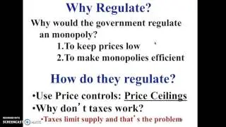 Regulating a Monopoly