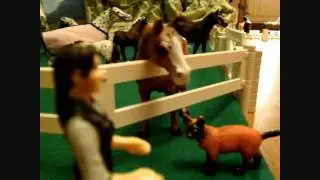 Applebaystable tour 2010 - part 2 (Schleich stable)