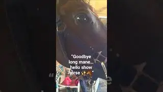 &ldquo;I Cut My Horse&rsquo;s Long Beautiful Mane 😢✨&rdquo;#ShowHorse #HorseLife #Equestrian #HorseLovers #GlowUp