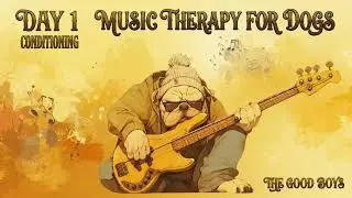 30-Day Dog Separation Anxiety Reggae Music Therapy | Day 1: Building Safety