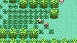 Pokemon Esmeralda Gameplay Guia Parte 3- Rustboro City, Gym Leader, HM01