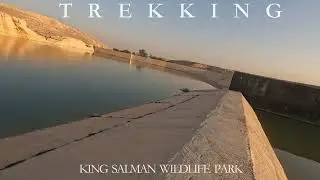 Trekking  in King Salman Wildlife Park Riyadh.  منتزه الملك سلمان البري الرياض #travel #tourise2025