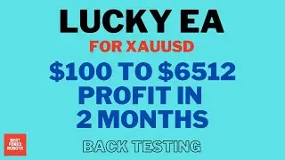 Lucky EA Forex MT4 Robot Back Testing | Best Forex Robots