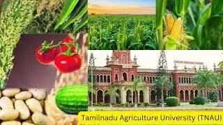 TNAU 🌱 Tamilnadu Agriculture University | Best Place of Coimbatore @ Seeds,Saplings & Fertilizer