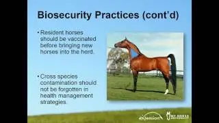 Biosecurity for Horses