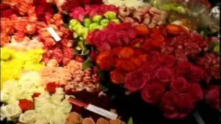 Floristmeisterin bei IPM 2010_2.MP4
