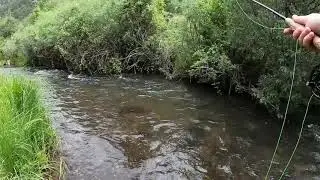 Cimarron River July 2021