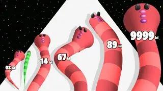 Worm Race Boss Fight - Level Up Worm Max Level Gameplay