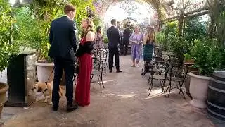 Flamenco Wedding Guitarist | Mike Rizk | Sydney | NSW