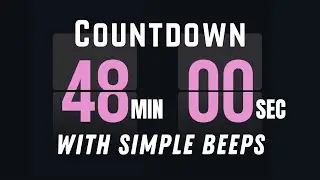 🕰️ 48 Min Flip Timer Countdown ⏳ | Flip Clock Sound + Simple Beeps (Start & End)