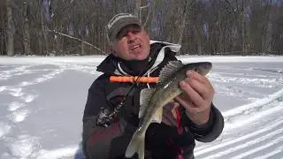 Targeting River Walleyes (Through the ICE)
