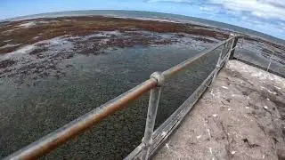 Port Julia - South Australia GO PRO HERO Ten - 2023