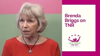 SAFE Haven for Cats - Brenda Briggs talks about TNR