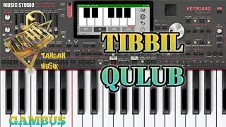 TIBBIL QULUB _ SET ORG TERBARU 📍