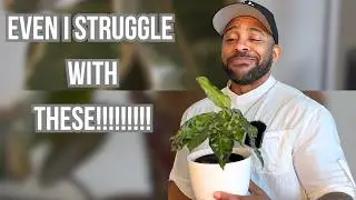 3 комнатных растения, которые мучились весь год | Plant Dad Transparency