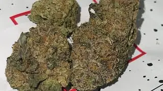 Zoap By Fade Co Review