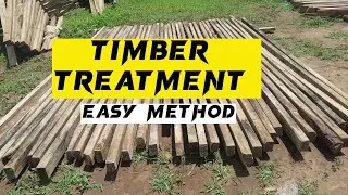Как обработать древесину от термитов | Tanalith Wood Preservate