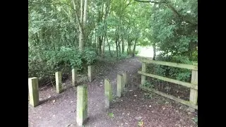 Walk around my local woods [Eastrington ] yorkshire