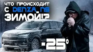 Denza N9 в морозы: плюсы и минусы эксплуатации. Как ведет себя в снегу? Отвечаем на ваши вопросы!