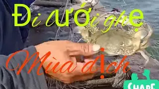 Đi lưới ghẹ mùa dịch và cái kết....... gạch koooooo ll Khám phá Long Sơn #3