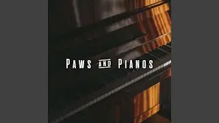 Calming Pet Piano