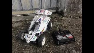 Nikko RC Cosmo 5 Buggy - 1/14 - 2WD - 7.2V