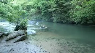 Relaxing Forest River – Gentle Water Sounds & Peaceful Ambience
