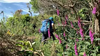 Wairarapa Hunting | All that for One Goat!