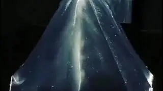 The most beautiful gown in the whole world 2019