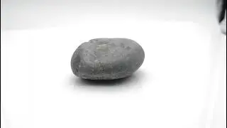 Natural Chakrapani Shaligram Vishnu Idol For Pooja Small Size (Max: 5 CM) SHALIGRAM26