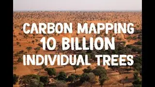 NASA Maps Carbon of 10 Billion Individual Trees