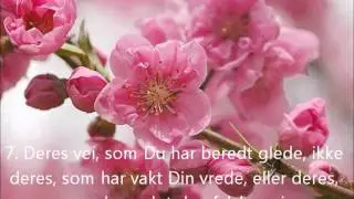 Surah Al Fatiha (&Aring;pningsb&oslash;nnen) - Norsk oversettelse (norwegian translation)