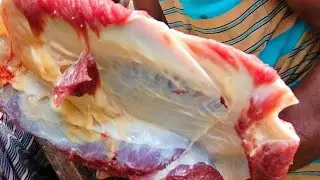 Fastest Meat Cutting Skills Separating Fat Cow Cutting Butcher Shop