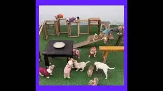 kutta party 🎉🎉🎉😄😄😄🎉😄🎉🎉