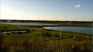 The Celery Fields
