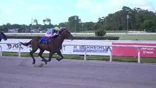 CARRERAS HIP&Oacute;DROMO MARO&Ntilde;AS 22/11/25 | EN VIVO | URUGUAY