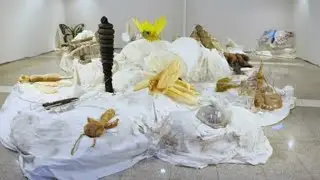 ARTANKARA SANAT FUARI 