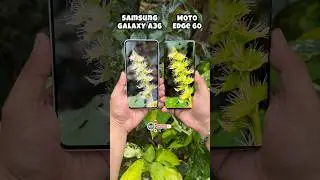 Samsung Galaxy A36 Vs Moto Edge 60 Camera Comparison #shorts