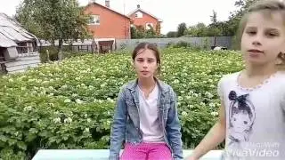 Новый  питомец! Кто это?/Kattu Play