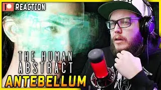 The Human Abstract REACTION to 