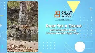TIGER DAY